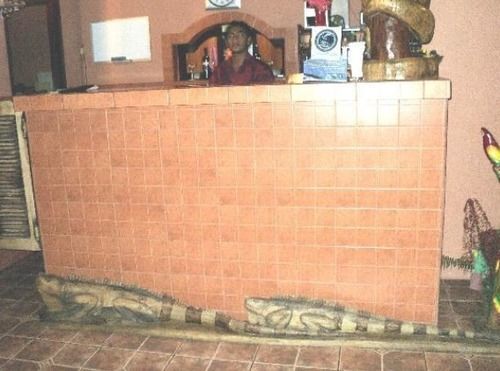 Miss Junies Lodge Tortuguero Bagian luar foto