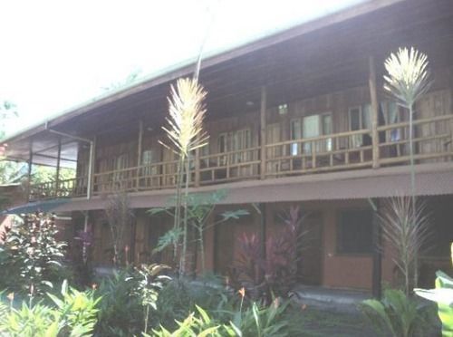 Miss Junies Lodge Tortuguero Bagian luar foto
