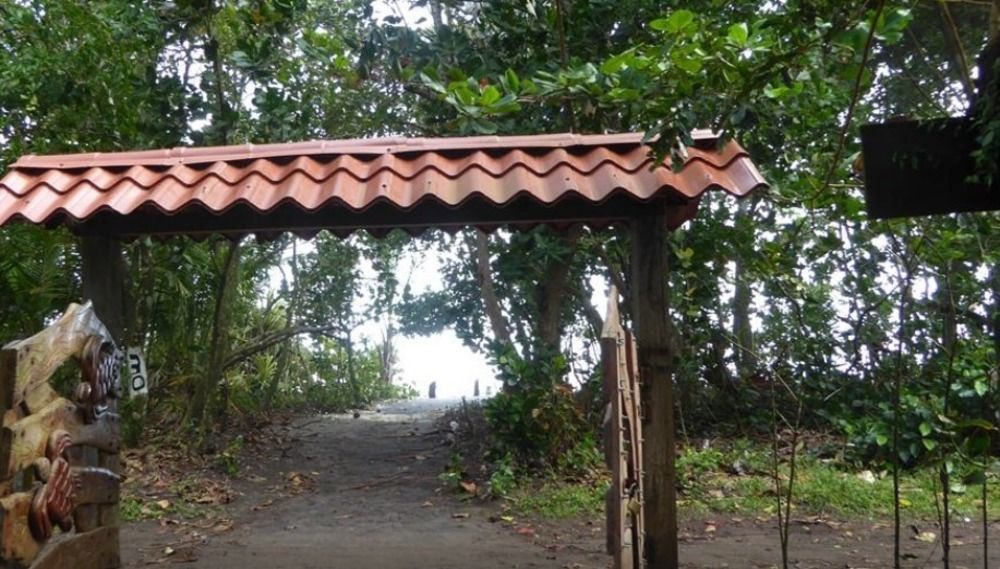 Miss Junies Lodge Tortuguero Bagian luar foto
