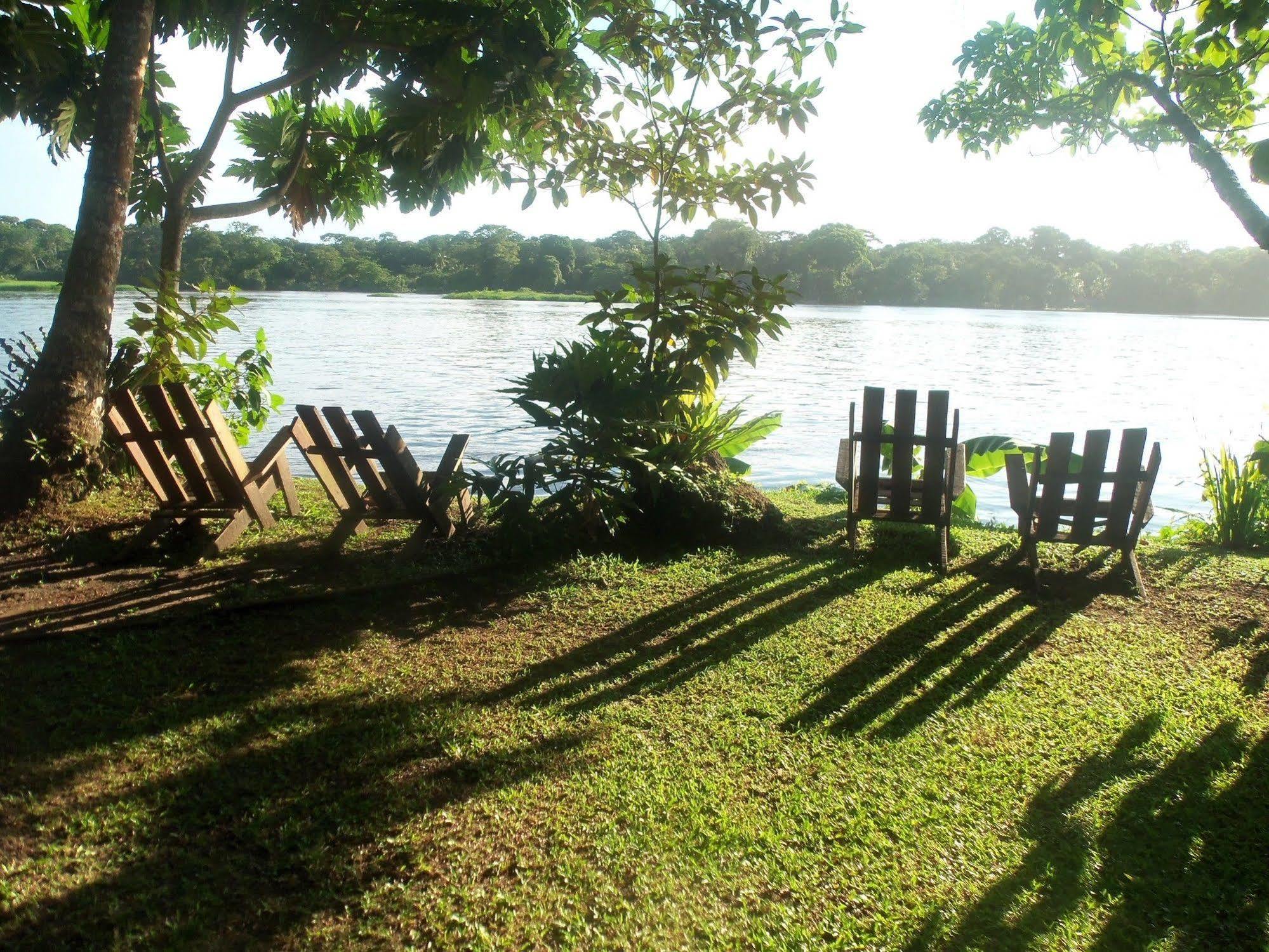 Miss Junies Lodge Tortuguero Bagian luar foto