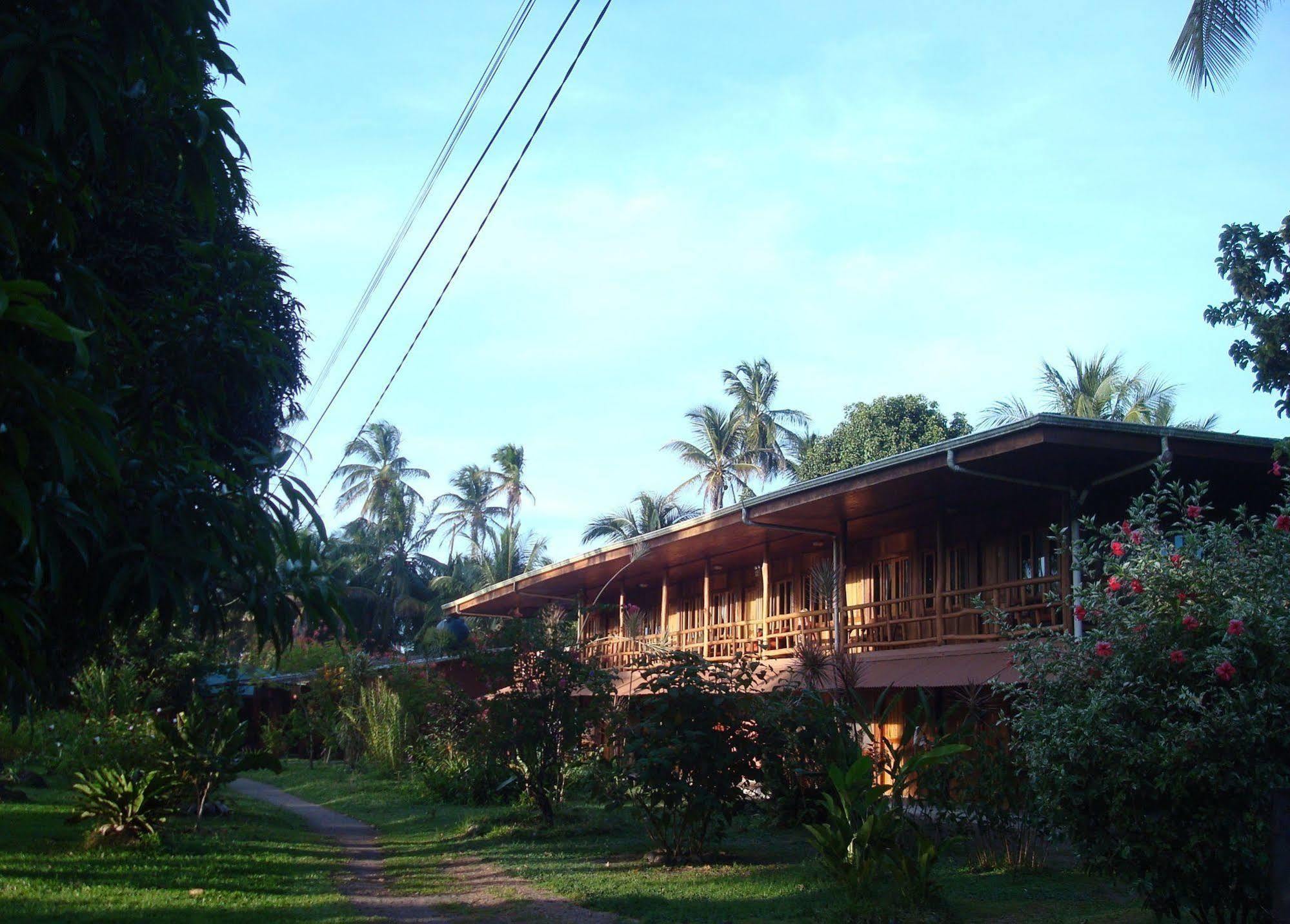 Miss Junies Lodge Tortuguero Bagian luar foto