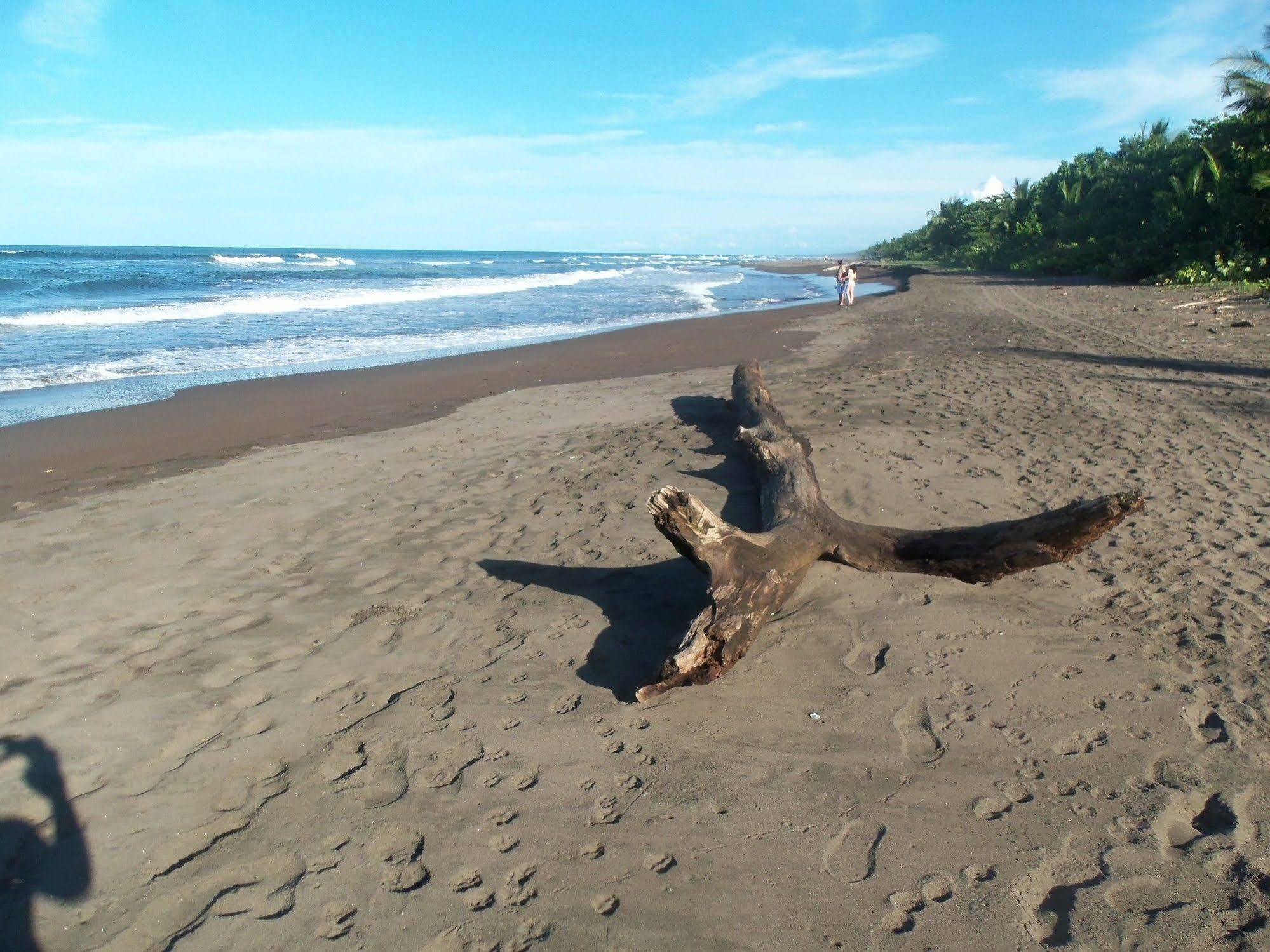 Miss Junies Lodge Tortuguero Bagian luar foto